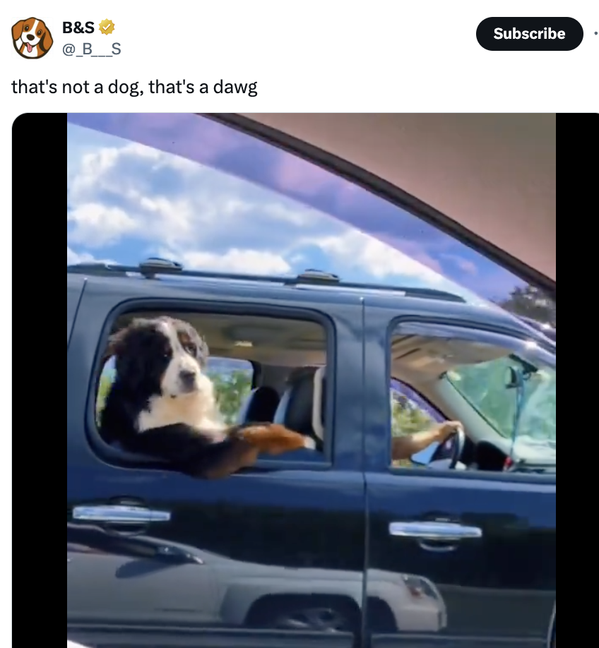   Twitter: @_B___S / Via x.com