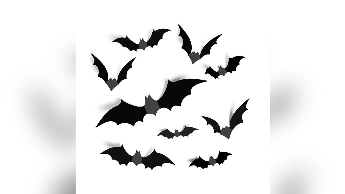 Add bats to all the rooms in your house.