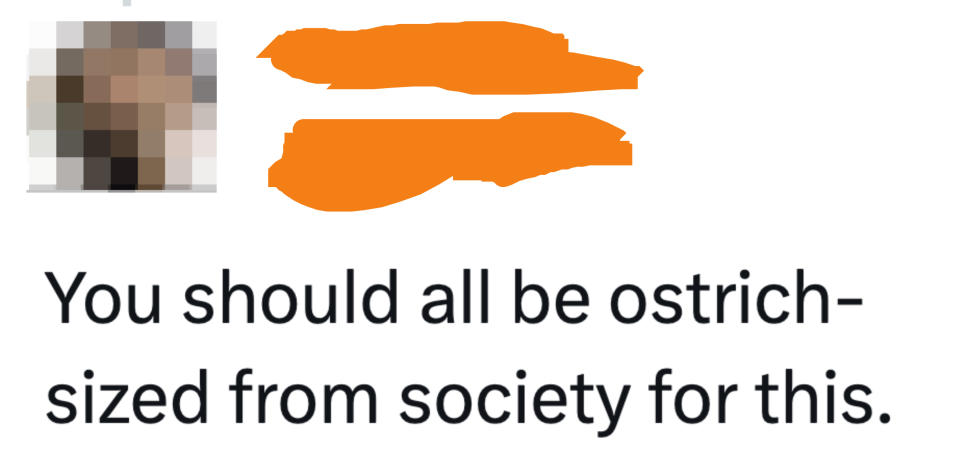 "You should all be ostrich-sized from society for this"