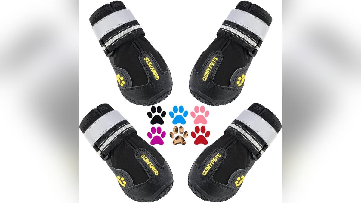 Protect your dog's paws during the winter months.