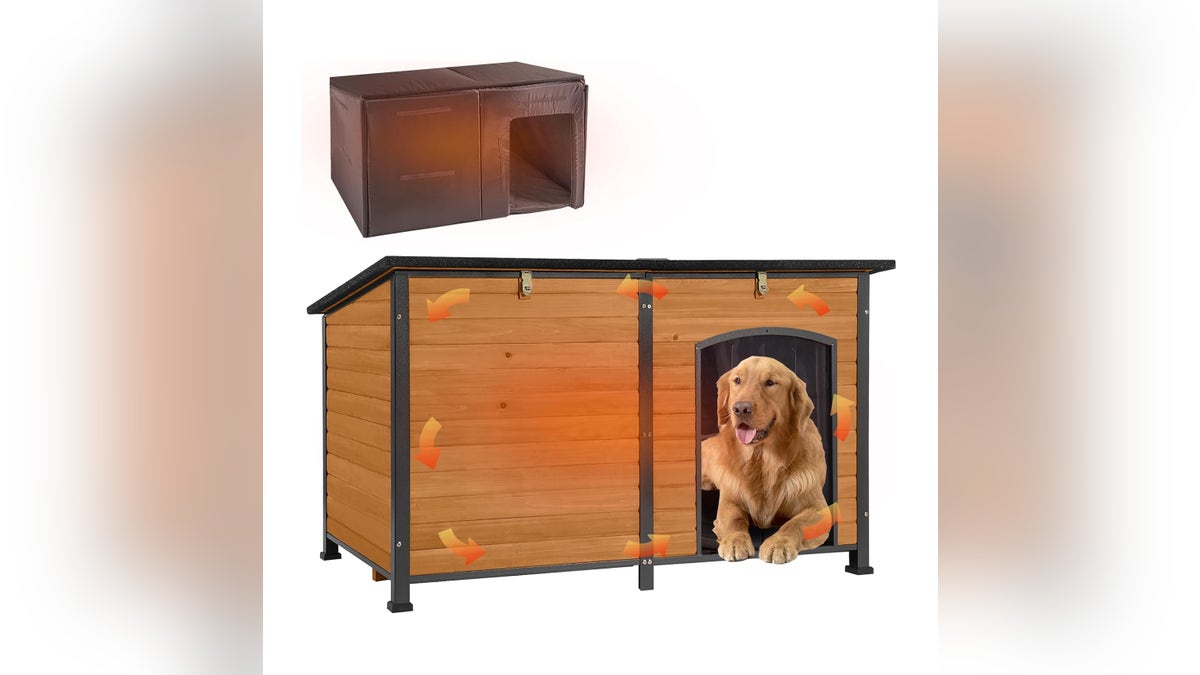 Outdoor dogs can stay warm in an insulated dog house.