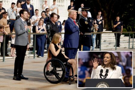 Gold Star families blast Harris in blistering videos after VP criticizes Trump’s Arlington visit: ‘Your administration killed my son’