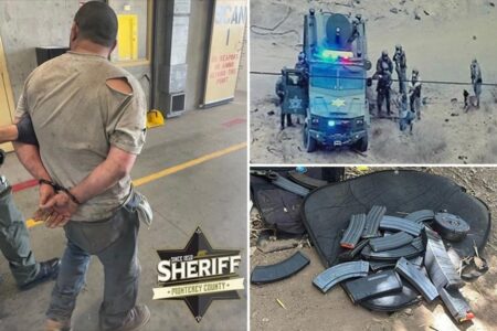 ‘Heartbreaking’: Gunman accused of murdering 81 animals in 3-hour shooting spree