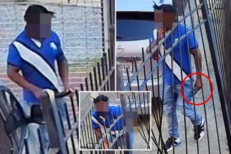 Getting fresh: Cops hunt for man caught on camera doing public sex act with produce in DC