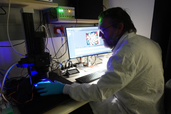 Associate Professor Adam Hill mapping arrhythmias using engineered heart tissue grown from stem cells.