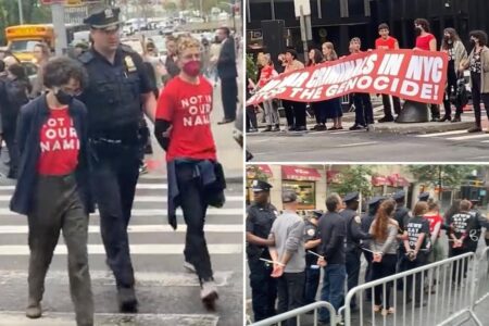 25 busted as anti-Israel group Within Our Lifetime rallies in NYC: cops