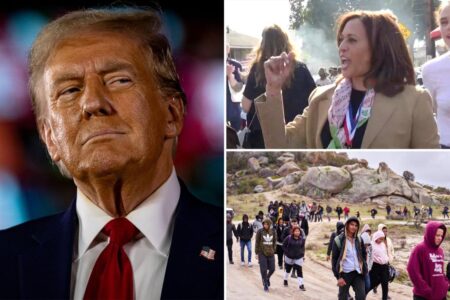 Trump slams Harris over data showing nearly 15K illegal immigrants in US accused or convicted of homicide: ‘Gross incompetence’