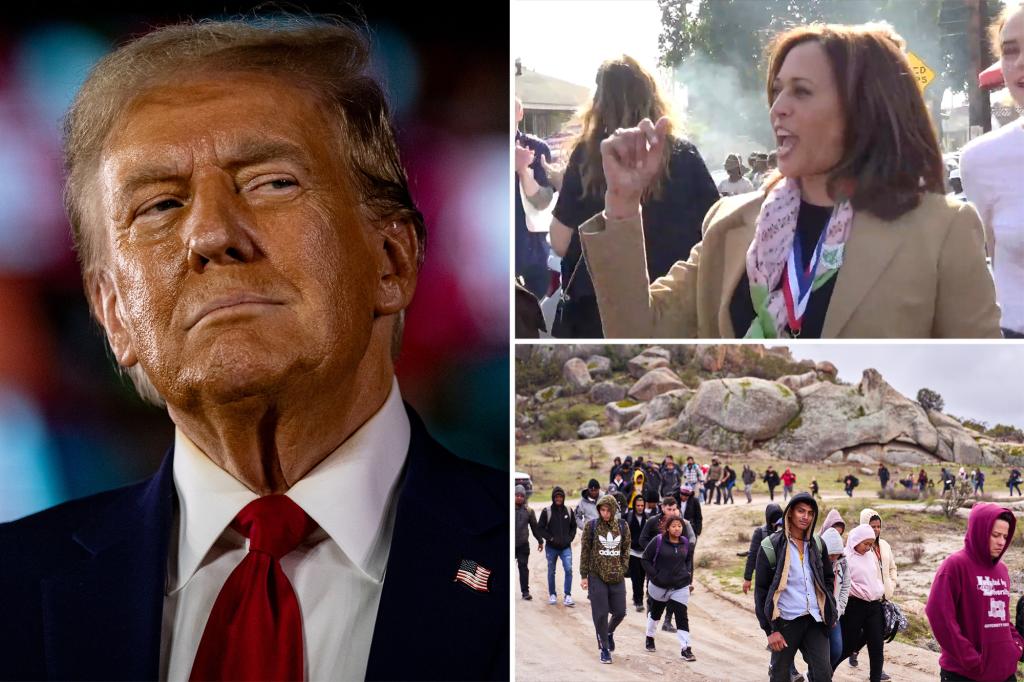 Trump slams Harris over data showing nearly 15K illegal immigrants in US accused or convicted of homicide: ‘Gross incompetence’