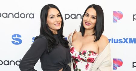 Nikki Garcia’s Sister Brie Shares Cryptic Post About ‘Lies’ After Artem Chigvintsev’s Charges Are Dropped