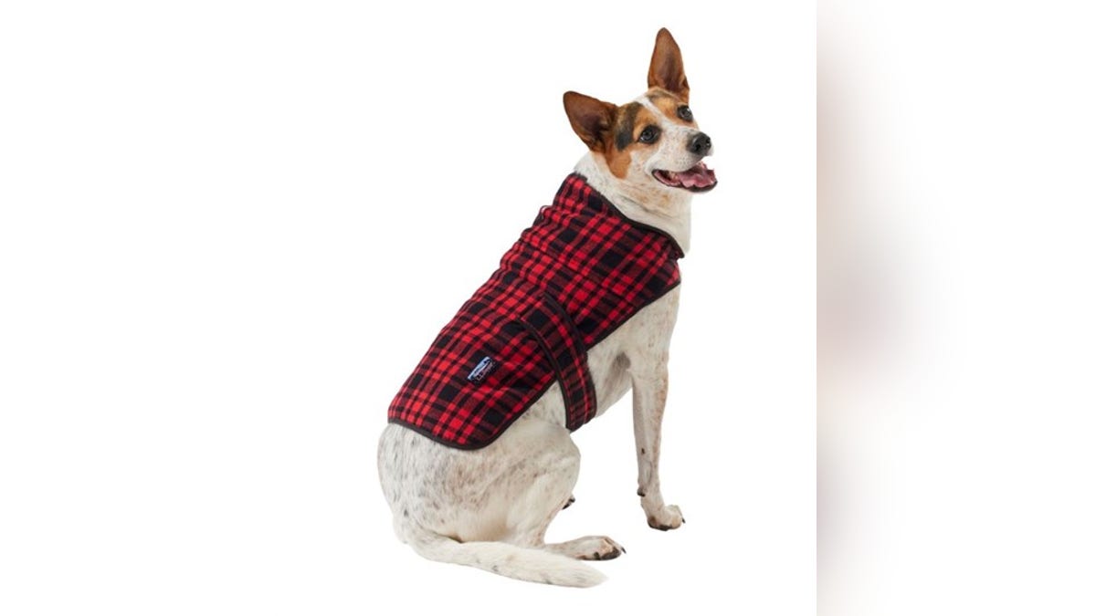 Keep your pup warm during cold walks.