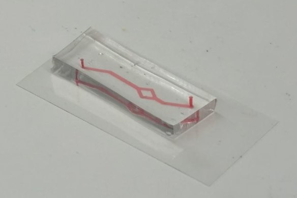 Looks like a USB, acts like an organ: the “blood vessel on a chip” unveiled by Sydney scientists earlier this year that could be used to test new drugs for heart disease.