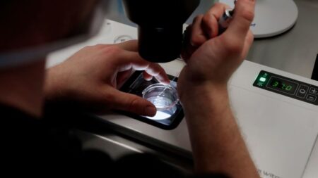 Senate to vote again on IVF bill as Democrats put pressure on GOP in election run-up