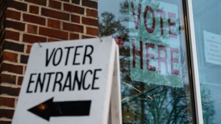 Are undocumented immigrants voting in US elections? Here’s the available data