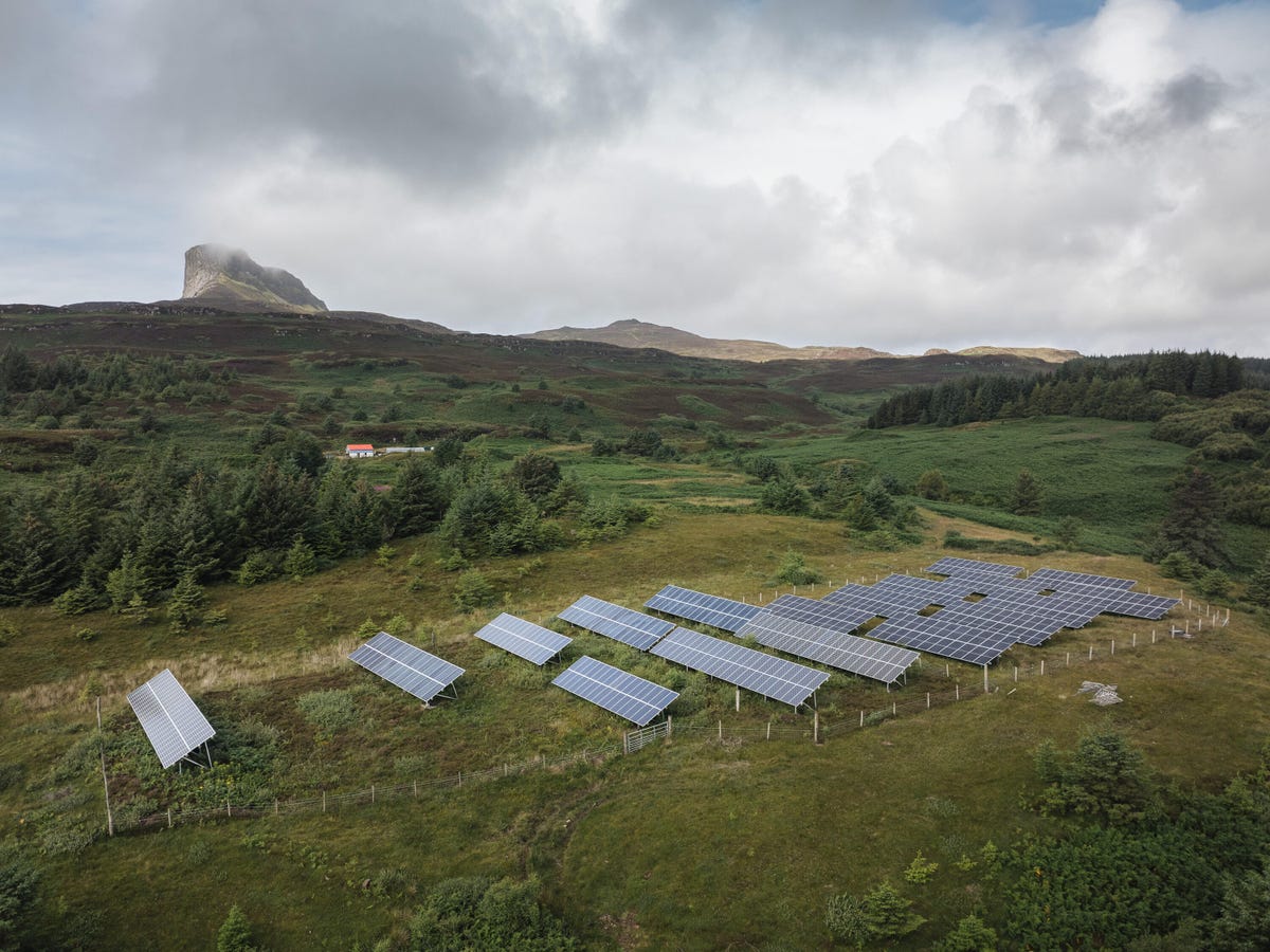 Solar arrays in a cleared field.