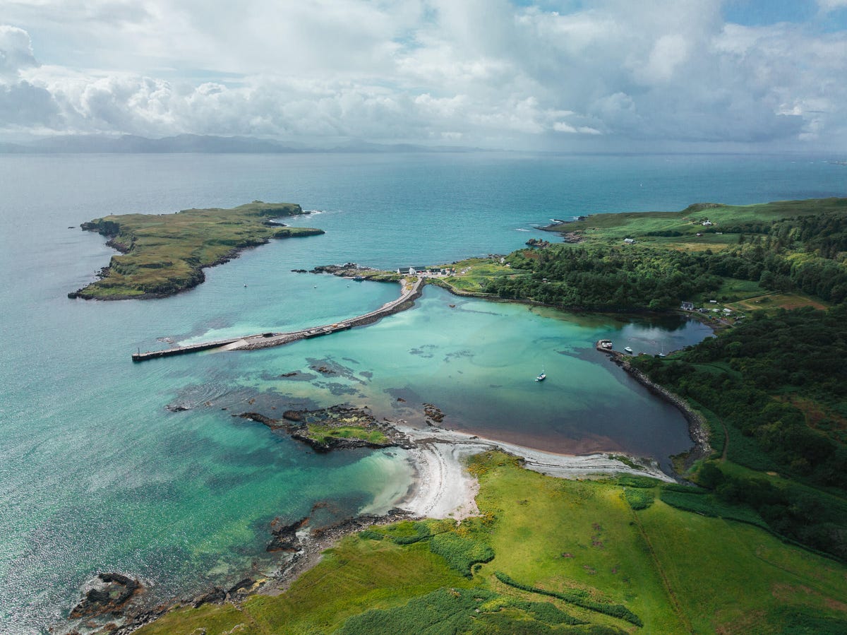 A lush harbor seen from above.