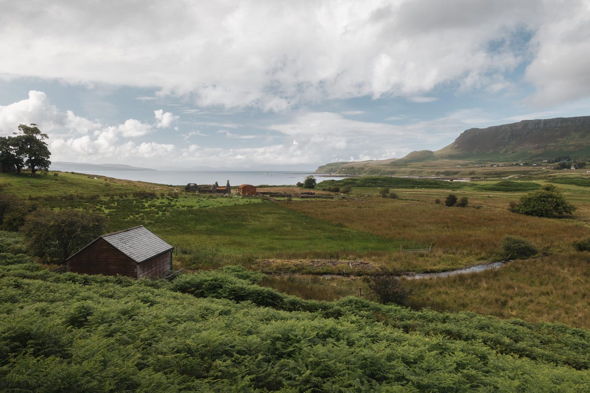 A small shed sits in a lush landscape.