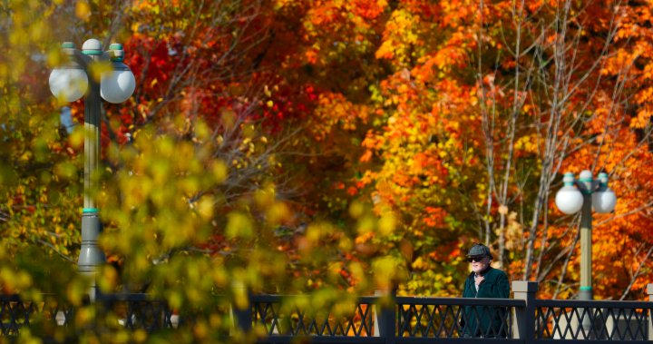 As warm weather lingers, what that means for fall – and leaf colours