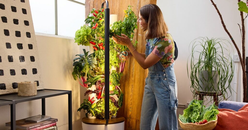 The Gardyn Studio Makes Producing Veggies and Fruits a Breeze in Compact Spaces