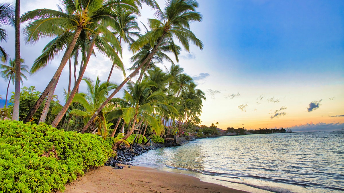 The best ranked beach in the U.S., according to Tripadvisor, is located in Lahaina, Maui, Hawaii.