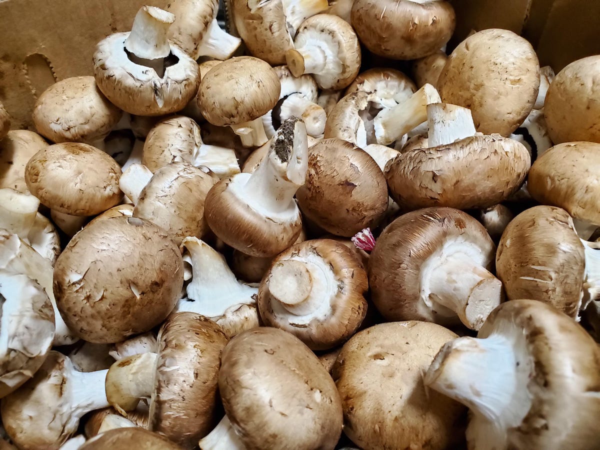 pile of button mushrooms