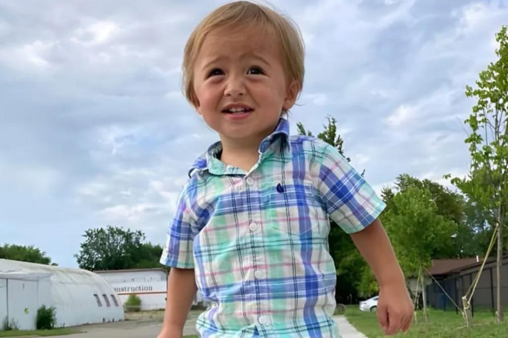 Elijah Vue’s remains found by hunters nearly 7 months after Wisconsin tot vanished: cops