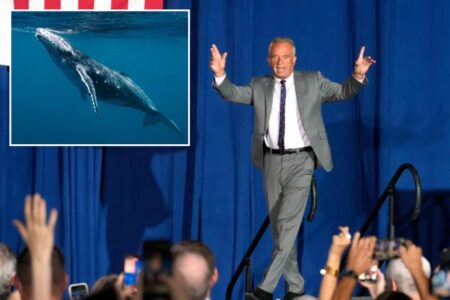 RFK Jr. investigated for decapitating whale and driving across state lines with the skull