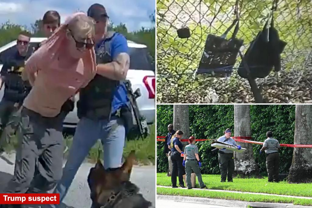 Trump assassination attempt suspect Ryan Routh’s son arrested for child pornography