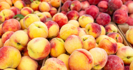 Nutrients For Gut, Heart and Immune Health