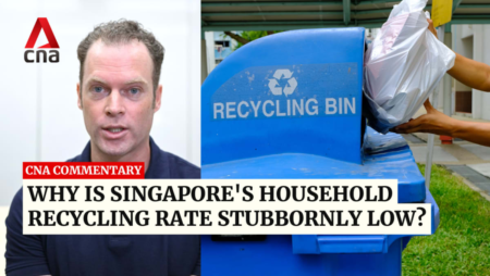 Commentary: Why is Singapore’s household recycling rate stubbornly low? | Video