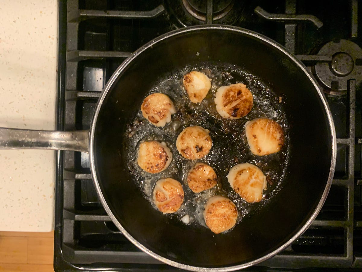 scallops