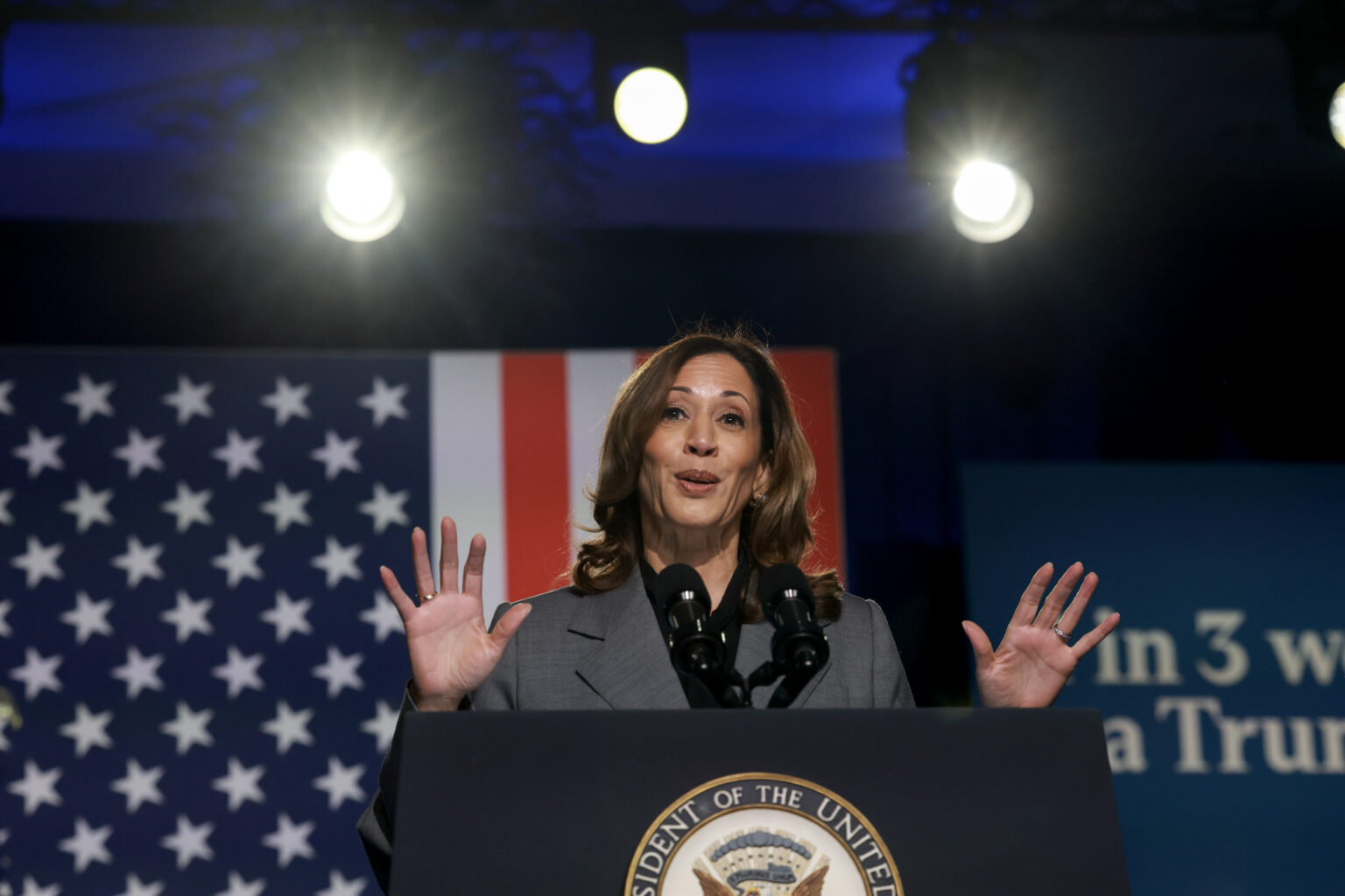 Kamala Harris’ Chances of Beating Donald Trump in 7 Swing States: Poll