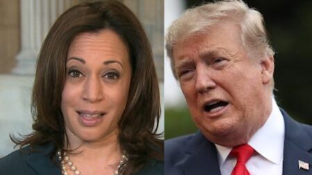 Video: New poll shows whether Harris or Trump is leading in favorability rating