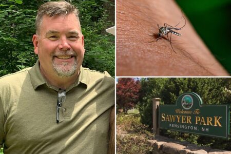 Father of 4 fighting for life after getting 3 mosquito viruses from one bite: ‘It could happen to anybody’