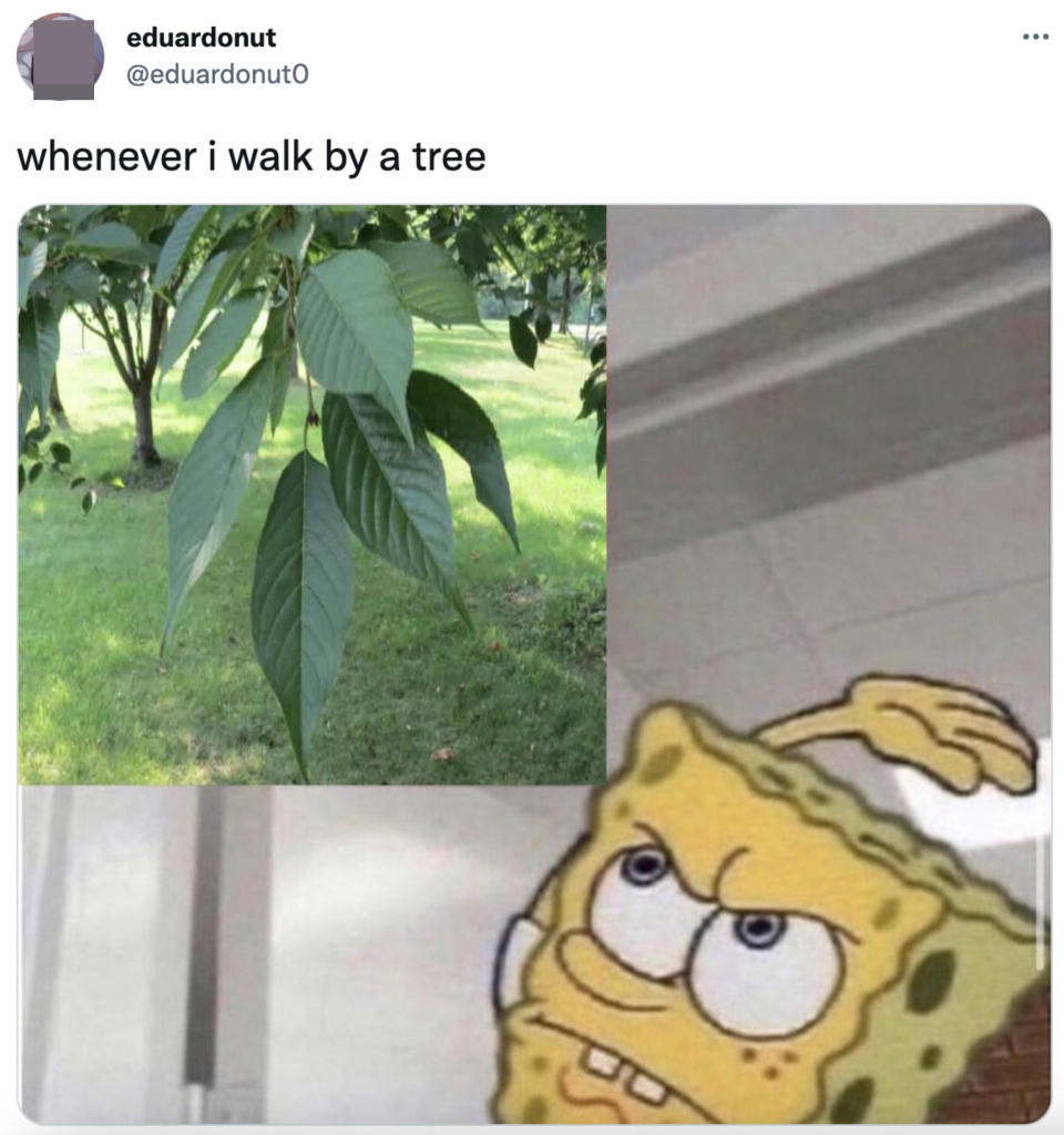 meme about smacking a leaf