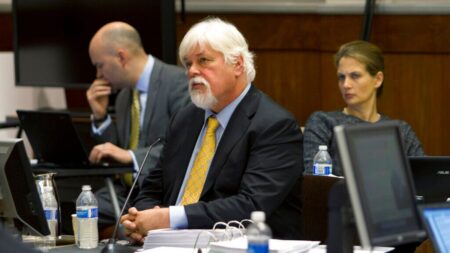 Anti-whaling activist Paul Watson's extradition process delayed