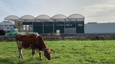 A floating farm in Rotterdam meets the climate crisis head-on