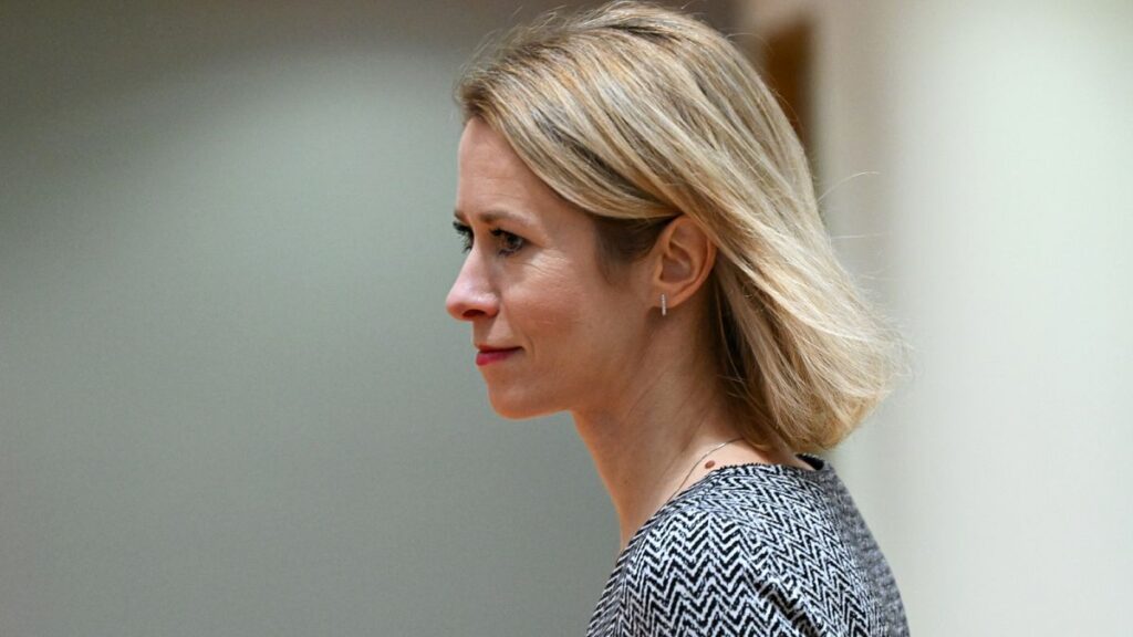 Kallas blasts Russia's 'imperialistic dream,' China's unfair practices