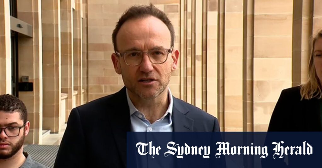 Adam Bandt is questioned about senator Dorinda Cox