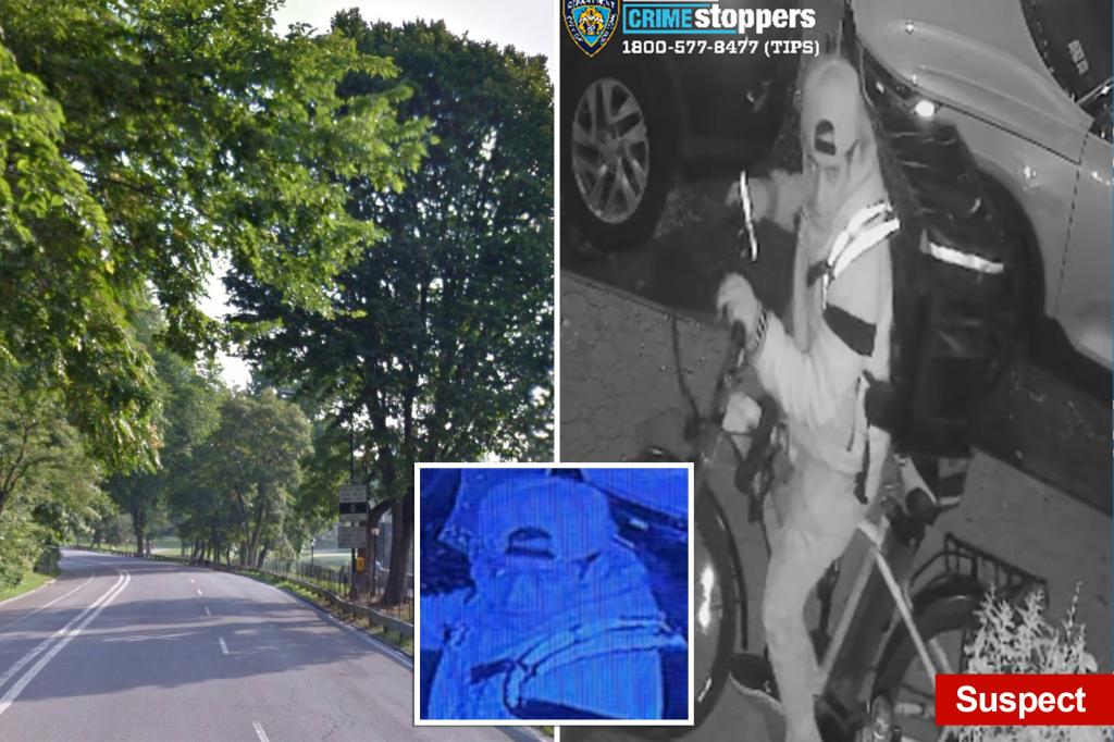 Central Park attempted rapist on the loose: Cops hunt fiend who tackled and assaulted woman
