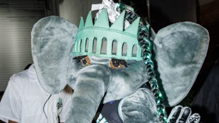 Ellie the Elephant, the New York Liberty’s Mascot, Is Ready to Bring Home the WNBA Championship