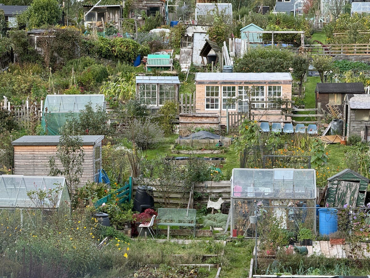 allotments-5x-iphone-16-pro