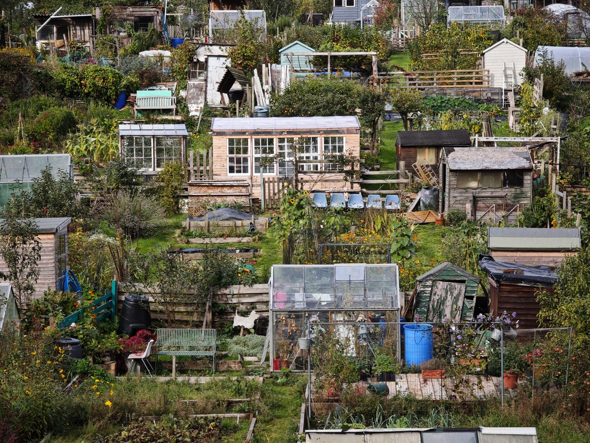 allotments-5x-xiaomi-14-ultra-2-2