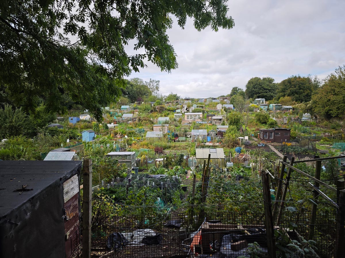 allotments-xiaomi-14-ultra