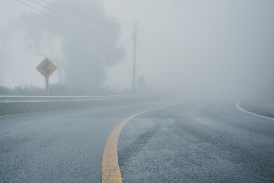 A fog-covered road with a visible curved arrow traffic sign, power lines, and trees in the background