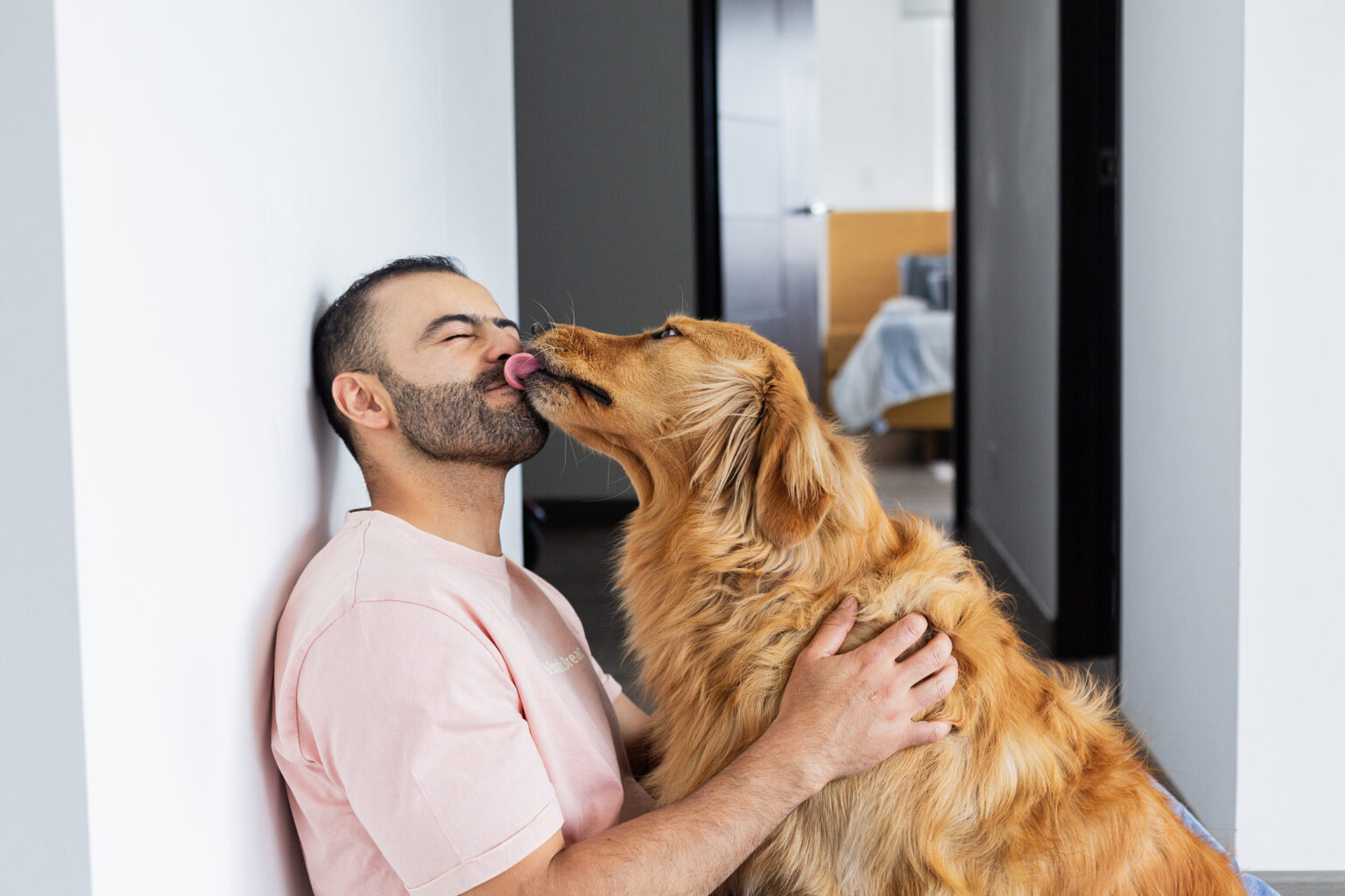 What Golden Retriever Does Every Time She Sees Owner’s Boyfriend Delights