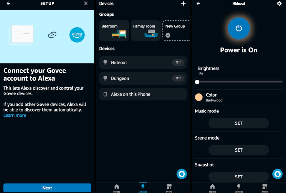 screenshot of linking and using govee smart lights in the alexa app
