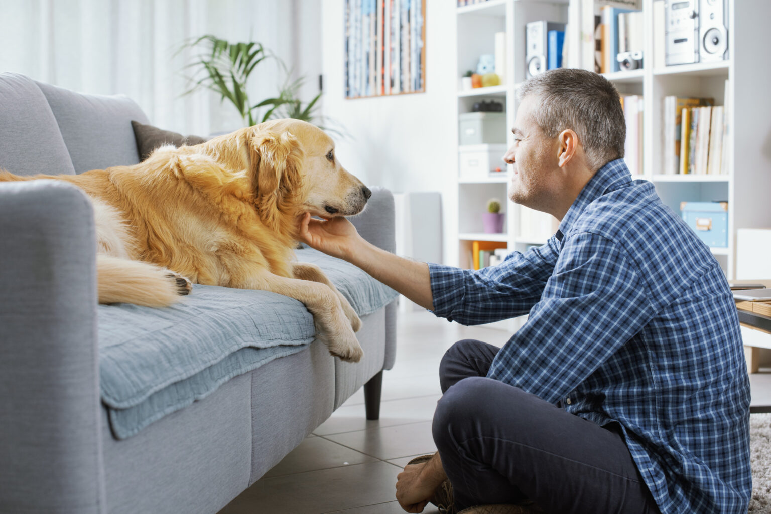 Watch Golden Retriever Slowly Realizing Owner Is Home: ‘Heart Explodes’