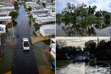 Dengue Fever cases popping up in Florida in the wake of Hurricane Milton