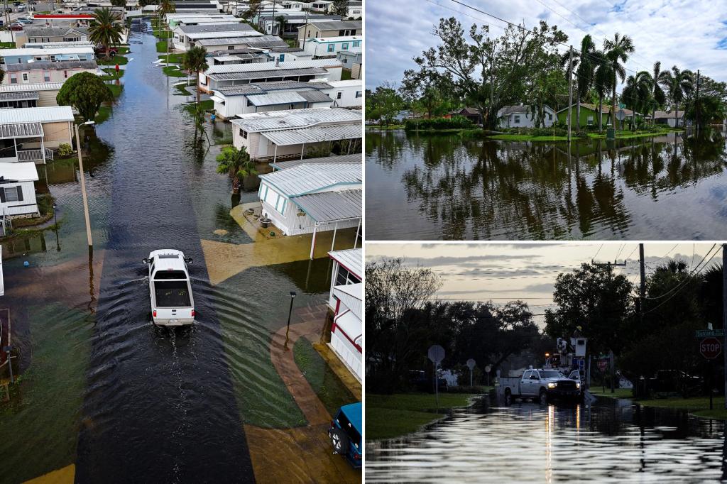 Dengue Fever cases popping up in Florida in the wake of Hurricane Milton