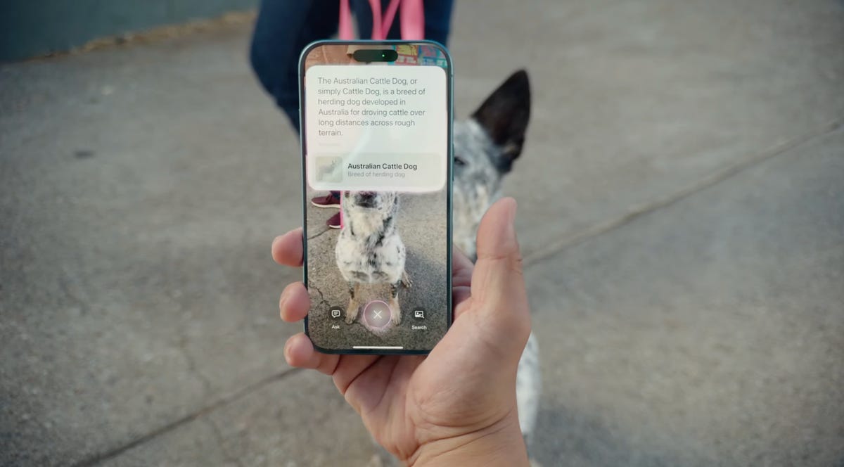 iPhone 16 camera control button visual intelligence